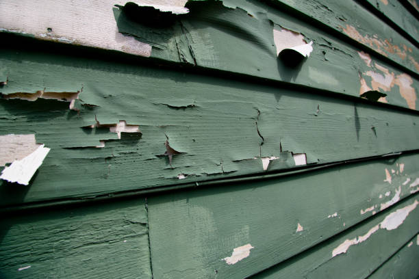 Best Property Management Cleanouts  in Avalon, CA