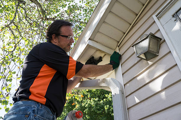 Best Yard Waste Removal  in Avalon, CA